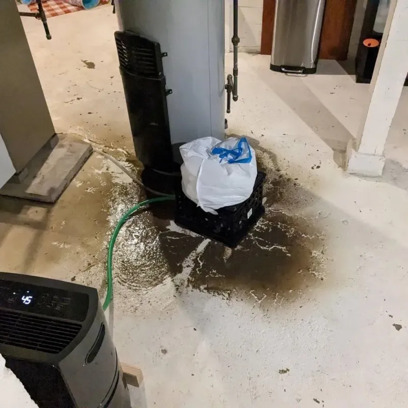 Sewage Backup Cleanup Service in Park Forest, IL
